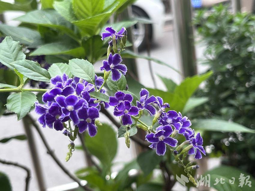 俄罗斯娱乐平台注册245